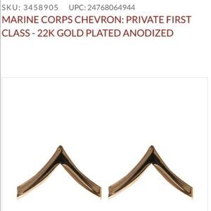 Vanguard Private Lapel Pin